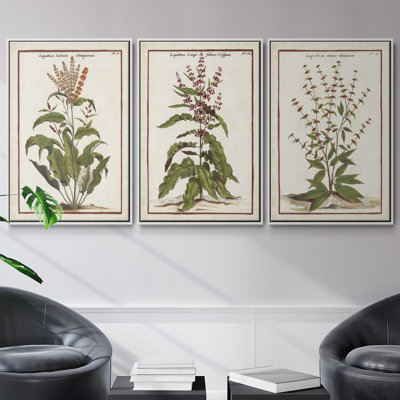«Munting Botanicals I», ensemble de 3 reproductions encadrées sur toile