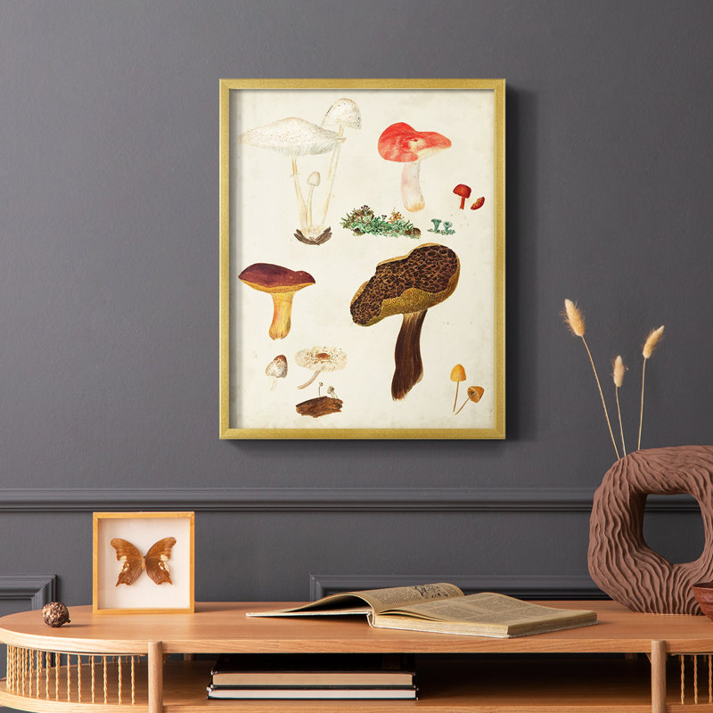 Reproduction encadrée de champignon Mushroom Species, H 28 po x l 22 po