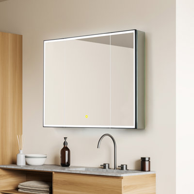 Atyana Surface-Mount/Reccessed LED Lighted Bathroom Black Aluminum Mirror Medicine Cabinet