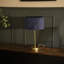 Dadiva Brushed Chrome Stem Table Lamp with Velvet Reni Shade-1570921140-1570921149-1570921151