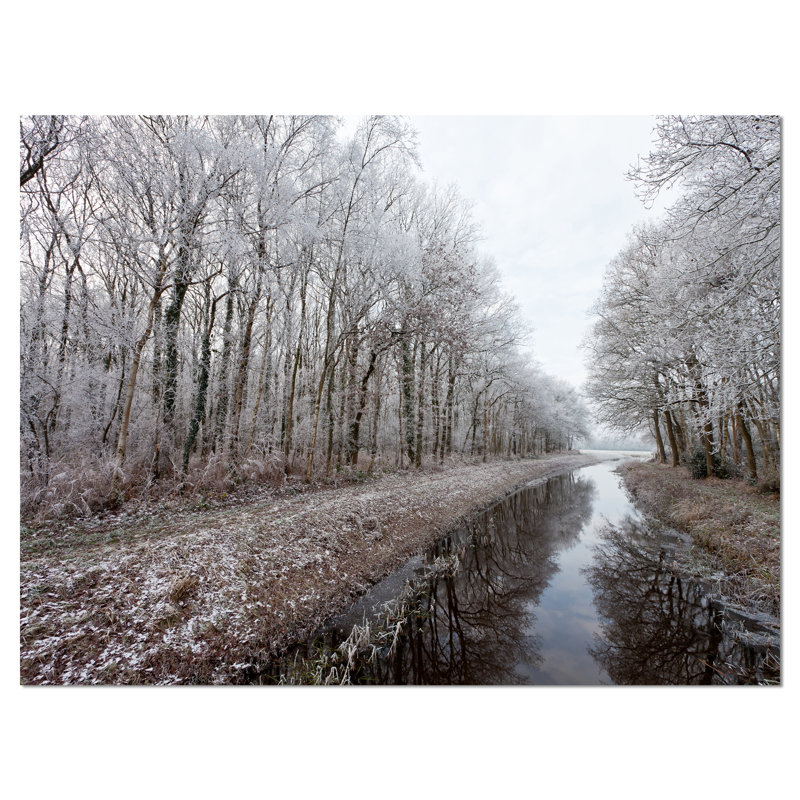 " Trees In White Winter Landscape ", 30" H x 40" W x 1" D