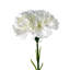 Plastic, Silk Artificial Arrangement-88685012