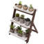 Plant Stand