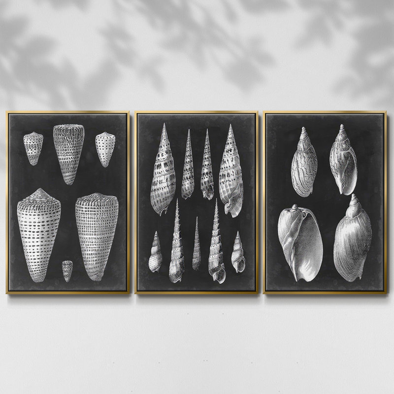 Alabaster Shells I, ensemble de 3 toiles encadrées sur toile, H 27 po x l 54 po, Or