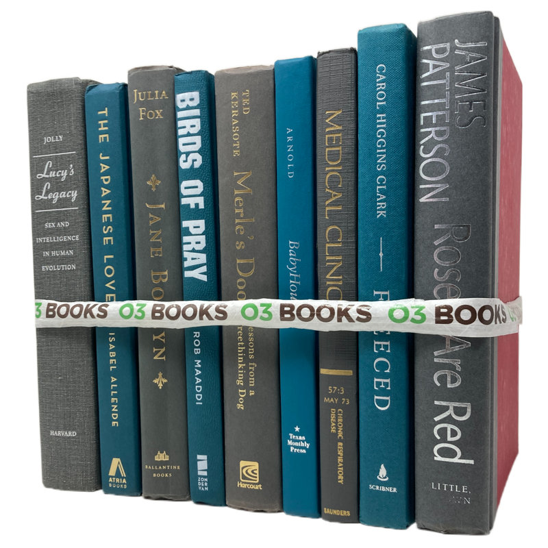 Livres décoratifs en pierre sarcelle et gris