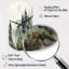 Horloge murale pin pin Misty Morning I-105567247