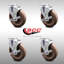 SS High Temp Glass Filled Nylon Swivel Bolt Hole Caster Set with Brake