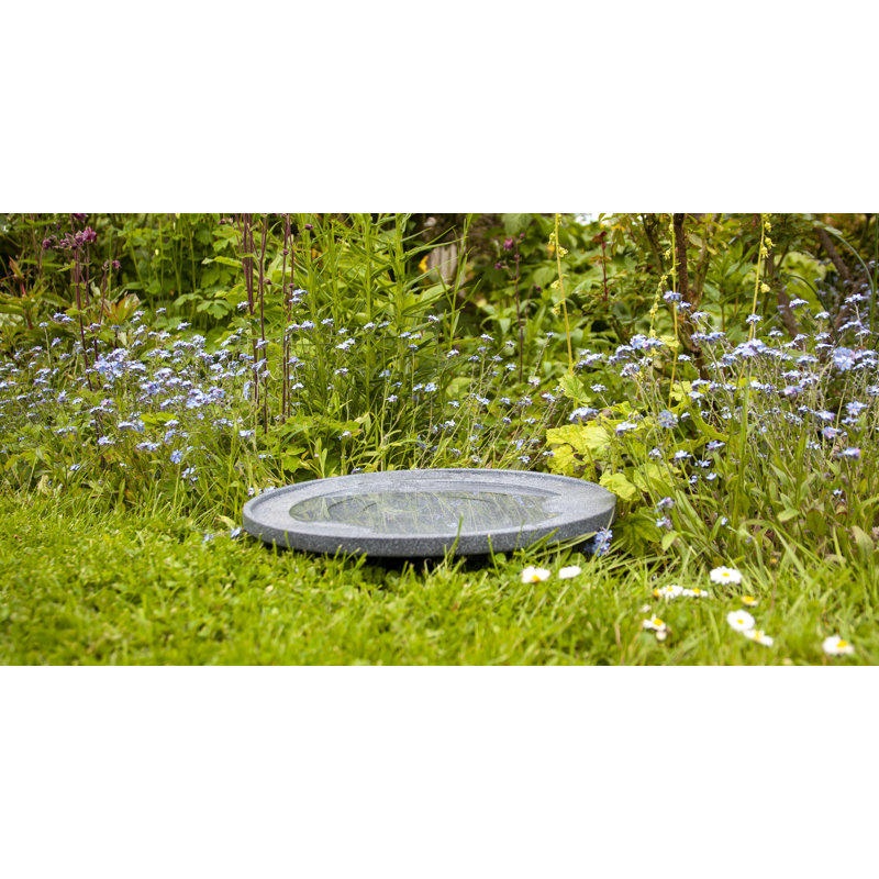 Minonk Plastic / Acrylic Birdbath