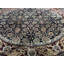 Wool Oriental Area Rug