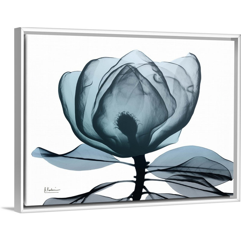 «Midnight Magnolia I» par Albert Koetsier, reproduction sur toile, H 14 po x l 18 po x P 1,75 po, Cadre blanc