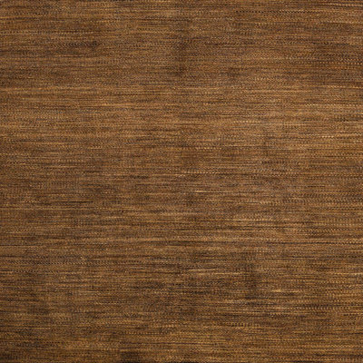 Indoor Rug