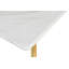 Rectangle Steadman-1697204309-1697204311