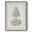Reproduction encadrée Willow Blue Besler VI - bois massif-480757571