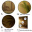 «Golden Grove Palm Tree Shadows» sur toile-97026490-97026489