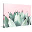Abdirazaq Sweet Succulents - impression sur papier-820391090-808758030