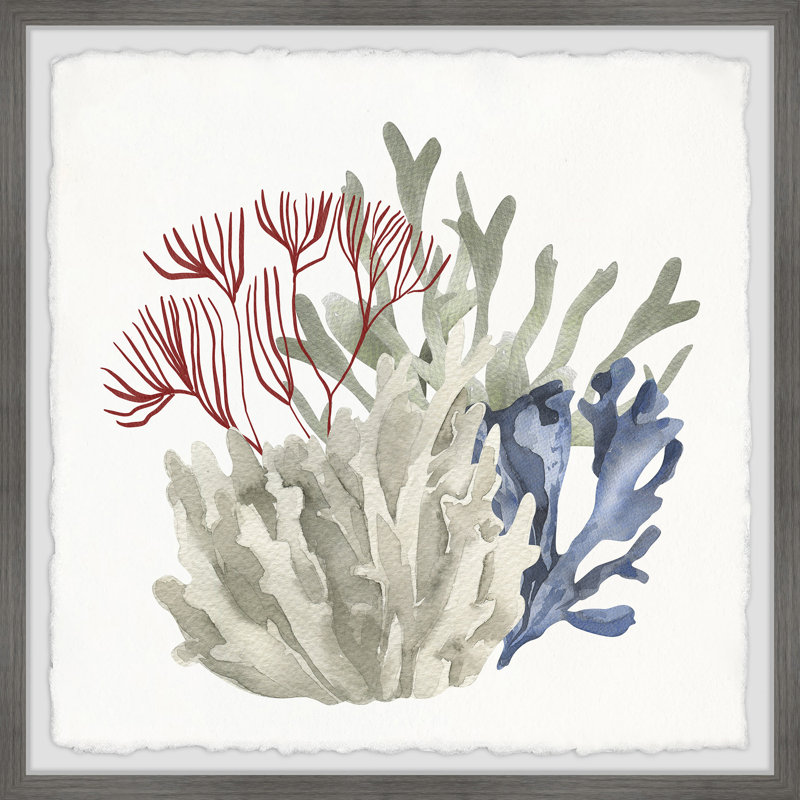 Uxbridge Marine Life Display A by Marmont Hill - Single Picture Frame Painting