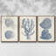 Ensemble de 3 cadres photo sur toile Antique Coral Collection V-97759052-97759056