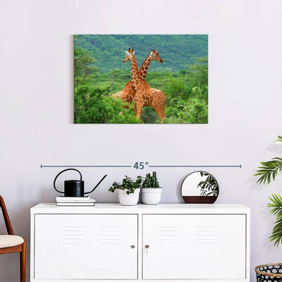 Crowle Giraffe Love