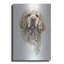 «Clumber Spaniel» par Barbara Keith-1254066891