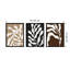 Retro Matisse Inspired Abstract Botanical - 3 Pieces by Erminia-72745651-72745649