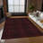 Malchow Flatweave Washable Oriental Indoor / Outdoor Rug-95743905