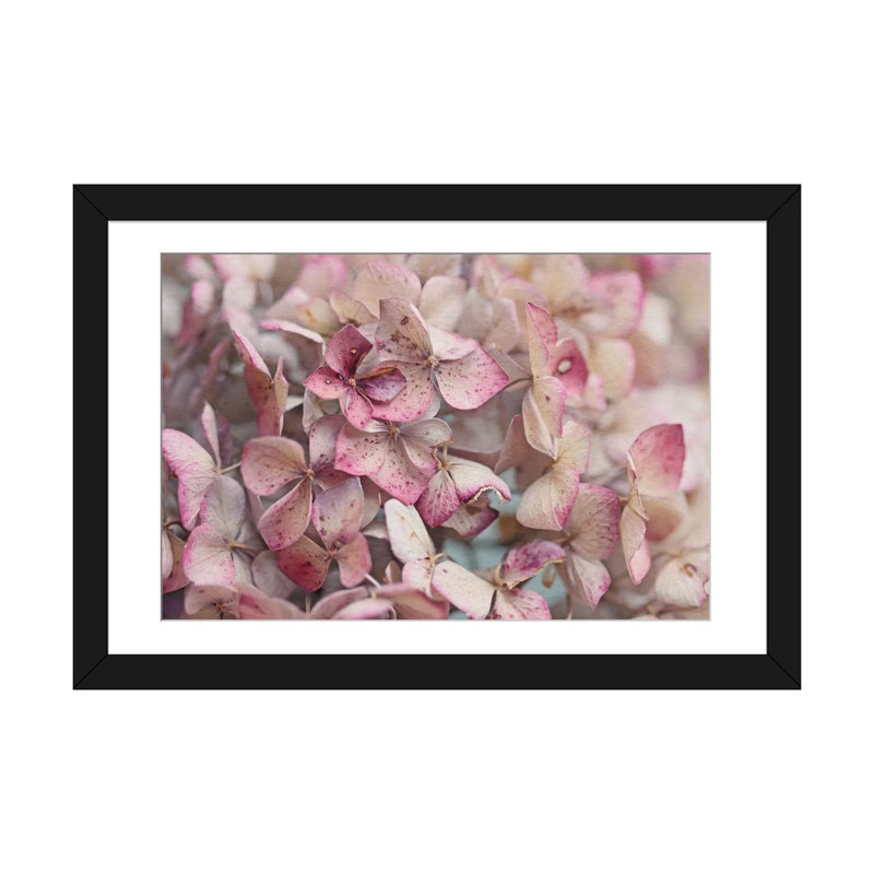 Hortensia rétro, impression sur toile, H 16 po x l 24 po x P 1 po, Papier d'art encadré noir, Blanc