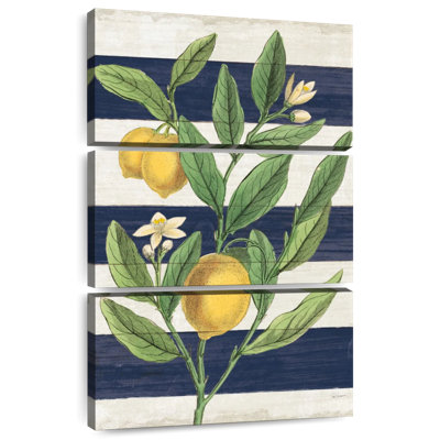 Classic Citrus Navy Shiplap No Words