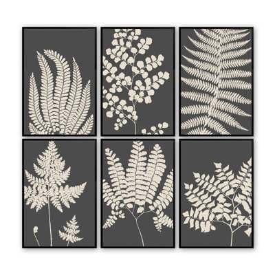 «Botanic Harmony in Slate», ensemble de 6 reproductions encadrées sur papier 6 pièces