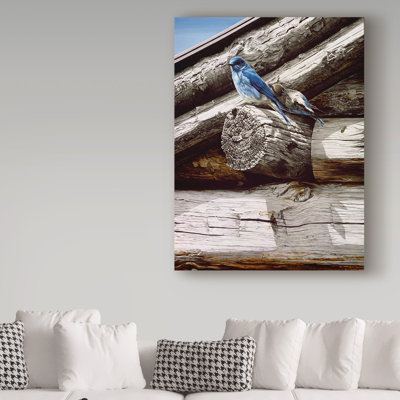Etelca 'Weathered Wood' Graphic Art Print on Wrapped Canvas