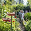 Birdbath-532576246
