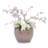 3 Antique Yellow Ceramic Planters, Modern Flowerpot For Indoor Outdoor Use, Frost-, Heat-, With Drainage Hole, 15X15x13 Inches, 48.1 Lbs Pieces Planter Patio Garden Decor, All-Weather , Design,-189979680