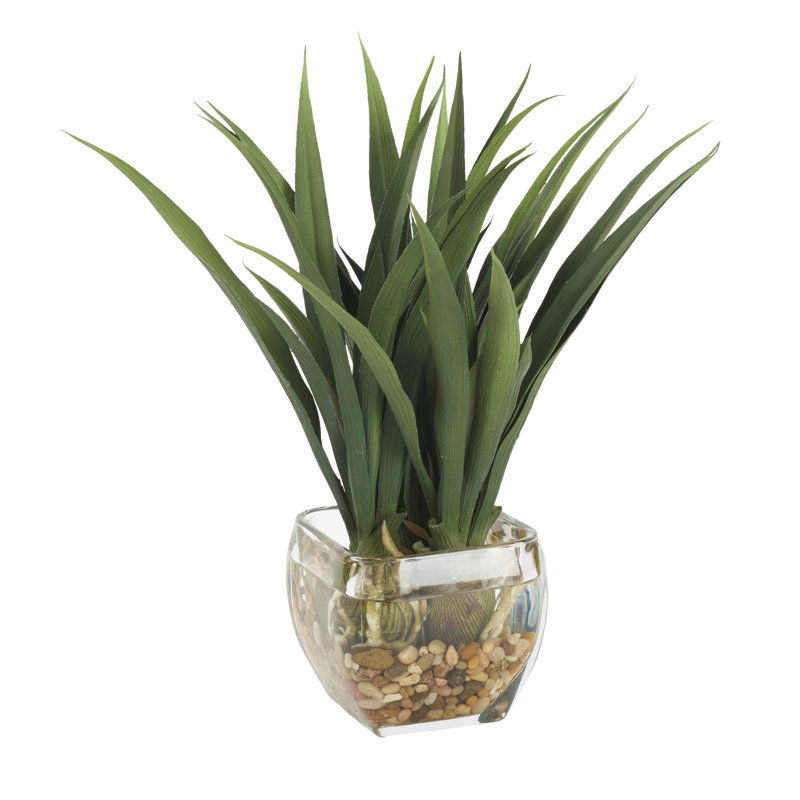 12'' Faux Lily Grass Grass in Glass Decorative Vase