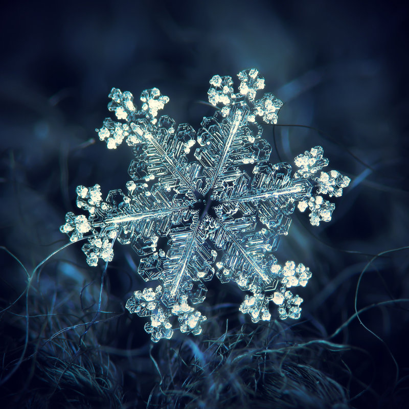 Snowflake Glittering by ChaoticMind75 - Wrapped Canvas Print, 30cm H x 30cm W