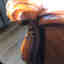 Customer photo 2 of 3