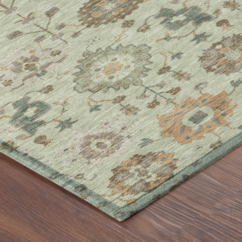 Tapis traditionnel lavable à la machine intérieur / extérieur ACN2610, Céleri, 9 pi x 12 pi