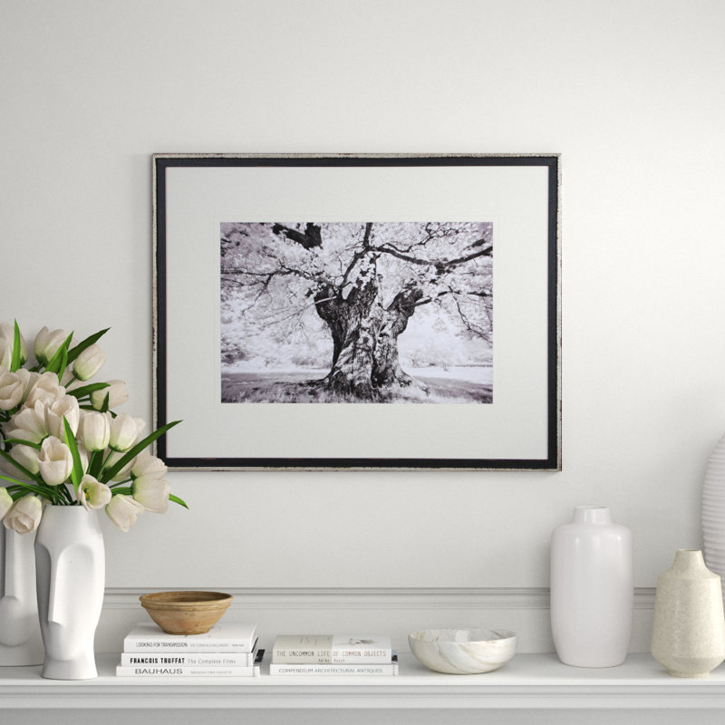 Tree Study I Print by Stawiorz