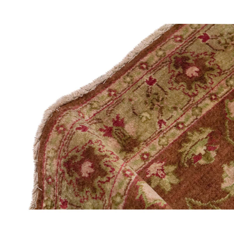 Oriental Area Rug in Cream