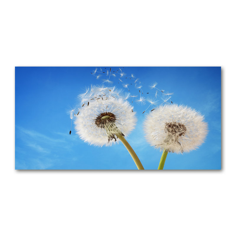 Dandelions - Wrapped Canvas Print