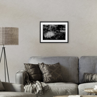 «Water Grasses In A Pond», reproduction sous verre encadrée, design par Jon Evan