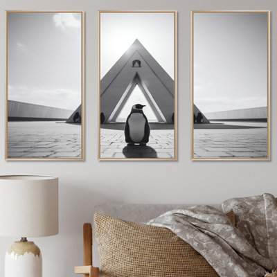 Photo de pingouin noir et blanc - art mural pingouin