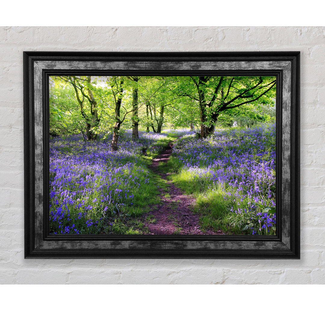 Path Through The Bluebells - Einzelne Bilderrahmen Kunstdrucke