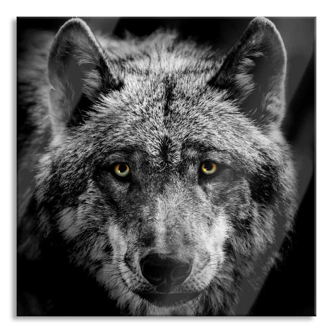 Glasbild Nahaufnahme Wolf mit gelben Augen