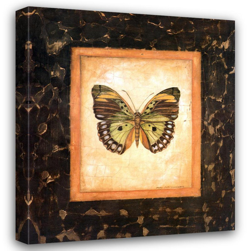 Papillon de la Sierra Léone, H 17 po x l 15 po