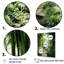 «Jade Journey Green Forest I», reproduction sur toile-1201726190-1201726191