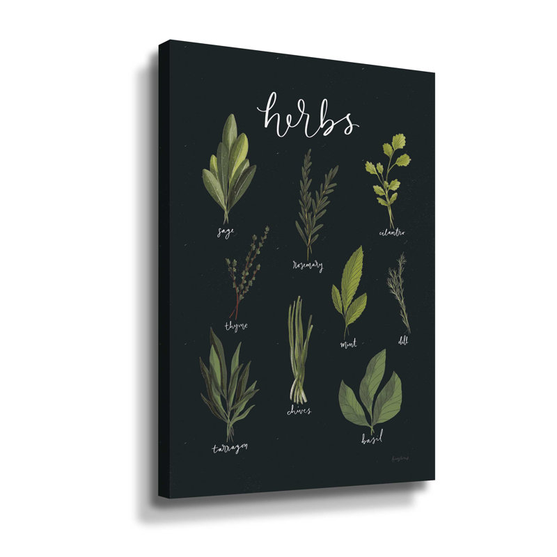 " Light Green Herbs I Black ", Wrapped Canvas, 16" H x 24" W x 2" D