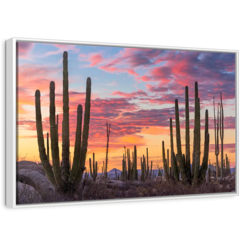 Lever de soleil de Baja California, Cadre flottant blanc, 37 po x 25 po