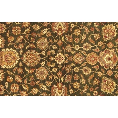 Tapis unique en laine noué à la main de style traditionnel vert foncé / or foncé 6 pi x 9 pi Rosanne