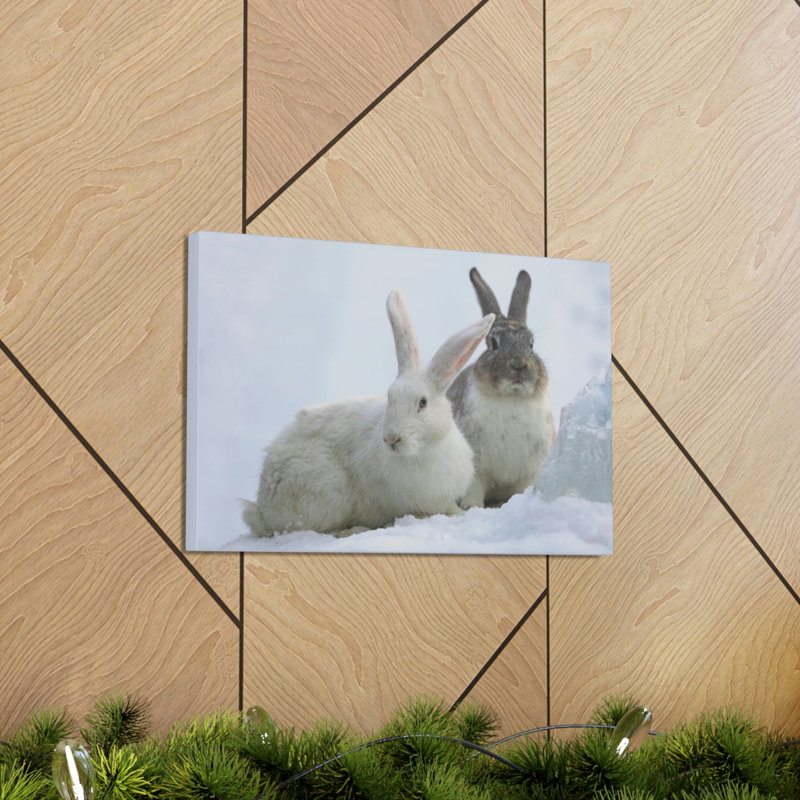 «Snow Hare Couple», art mural animaux, H 11 po x l 14 po