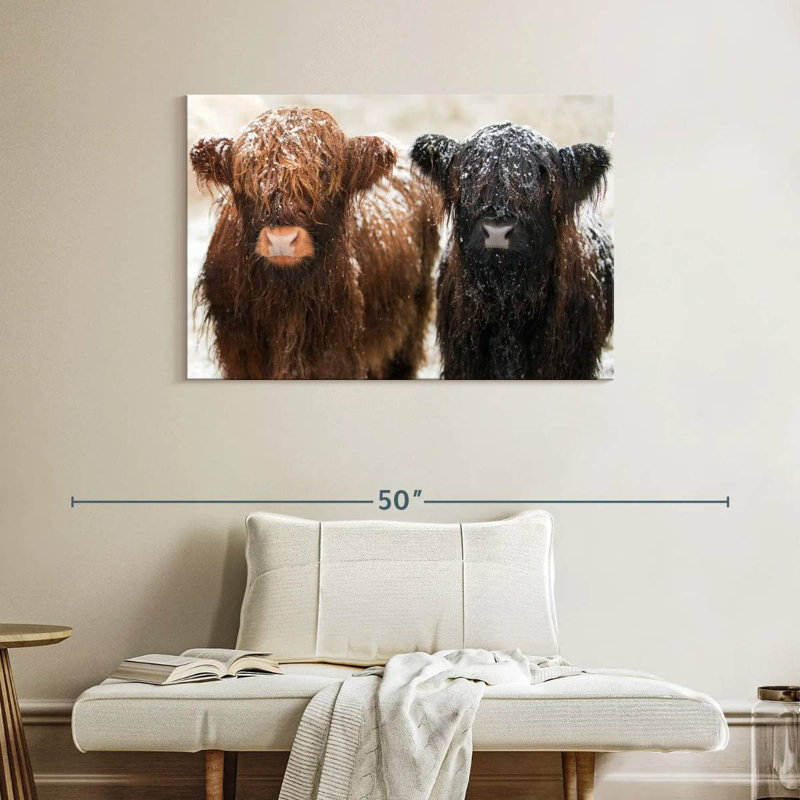 Brampt Hairy Highland Cows, 26" H x 39" W