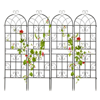 180cm W Metal Arched Trellis